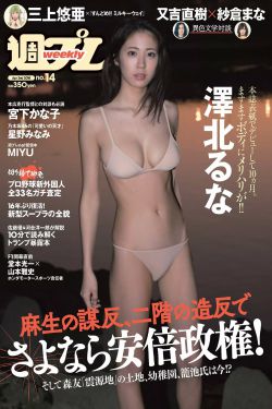 疯狂的金条